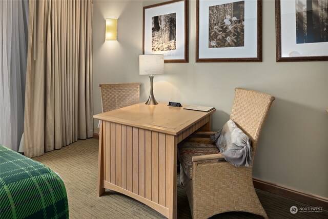 view of carpeted bedroom