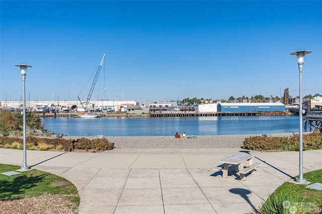 1025 Granary Ave Unit 203, Bellingham, WA 98225 - water view