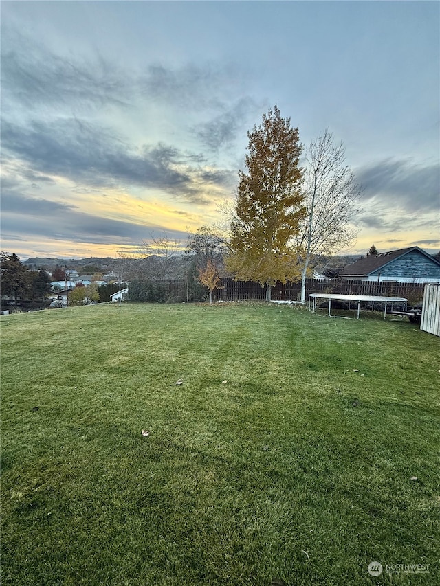 yard at dusk with a trampoline