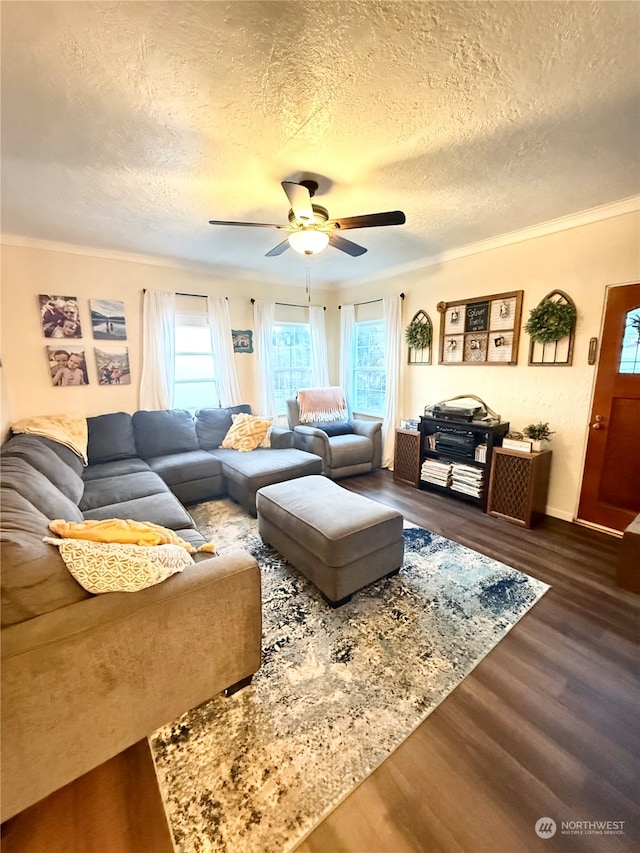 living room with dark wood-type flooring, ornamental molding, a textured ceiling, and ceiling fan