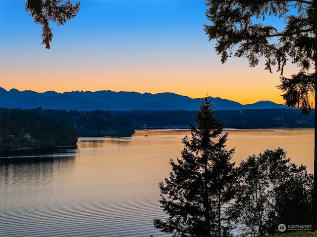 water view featuring a mountain view