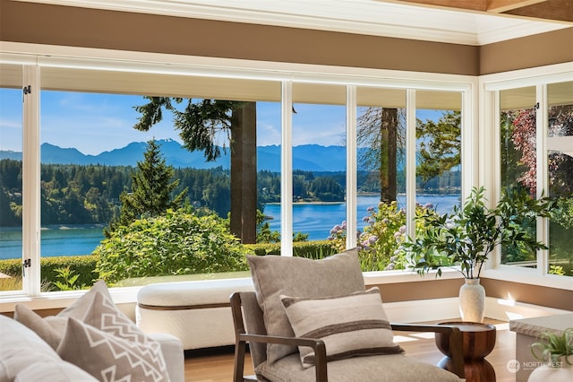 sunroom / solarium featuring a water and mountain view and a healthy amount of sunlight