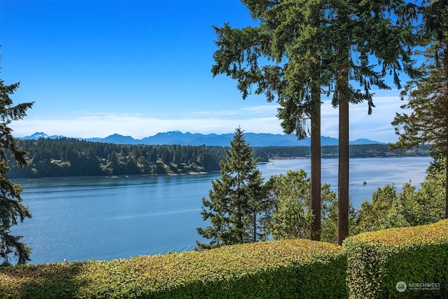 water view featuring a mountain view