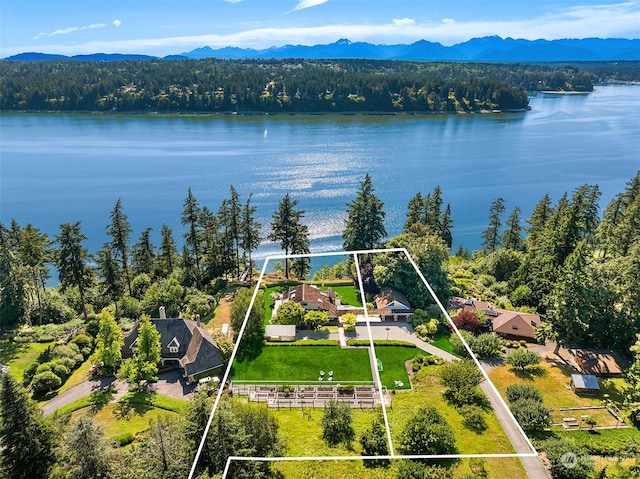 drone / aerial view with a water and mountain view