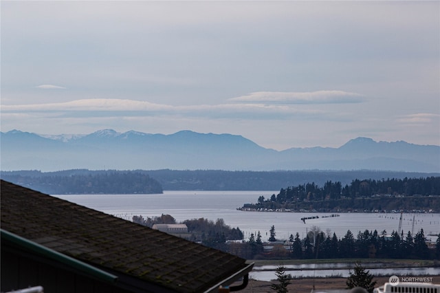 view of mountain feature with a water view and a forest view