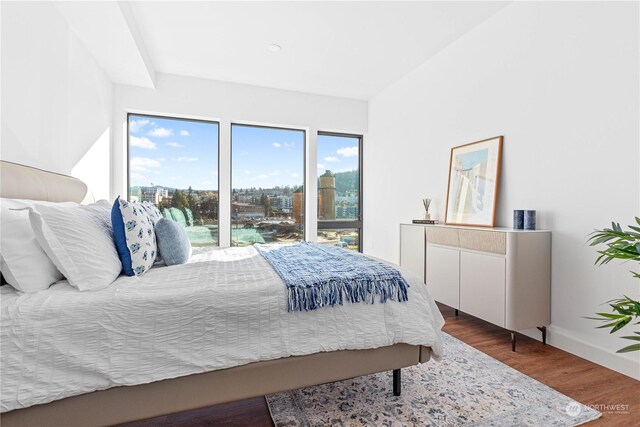 1025 Granary Ave Unit 306, Bellingham, WA 98225 - bedroom with wood finished floors and baseboards