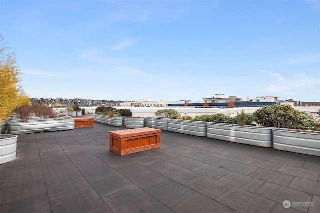 1545NW 57th St Unit 505, Seattle, WA 98107 - view of patio / terrace