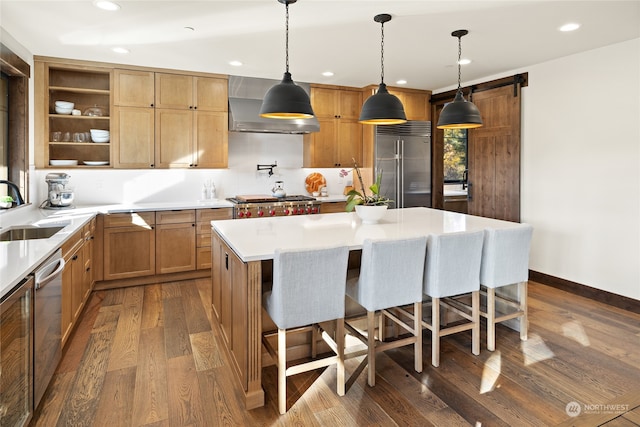 kitchen with dark hardwood / wood-style flooring, a barn door, sink, a kitchen island, and appliances with stainless steel finishes