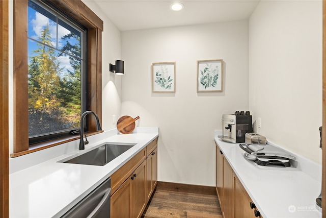 kitchen with stainless steel dishwasher, dark hardwood / wood-style floors, and sink