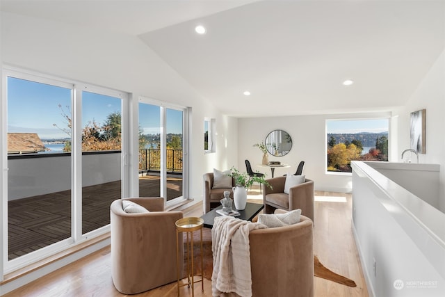 living room featuring vaulted ceiling and light hardwood / wood-style flooring