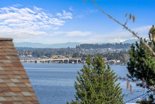 view of water feature featuring a mountain view