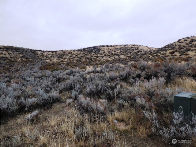 0 Pats Ln, Omak WA, 98841 land for sale