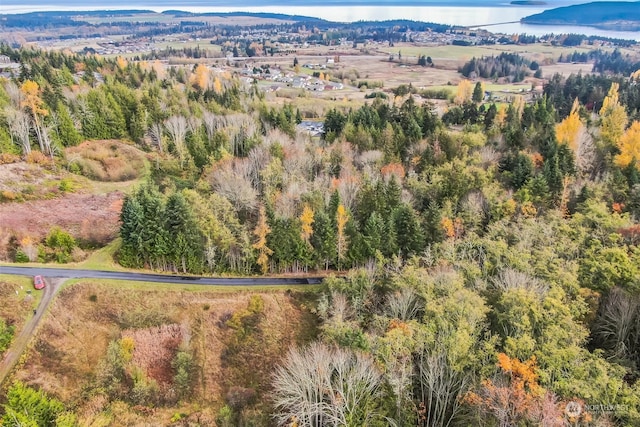 999 Elk Pass Rd Lot 1, Sequim WA, 98382 land for sale