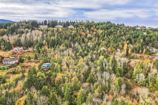999 Elk Pass Rd Lot 1, Sequim, WA 98382