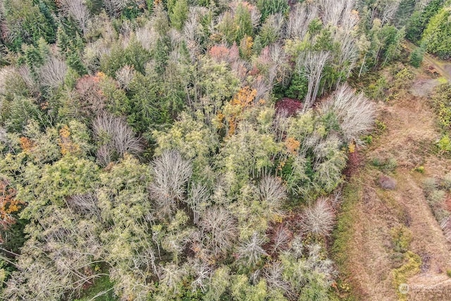 999 Elk Pass Rd Lot 1, Sequim, WA 98382