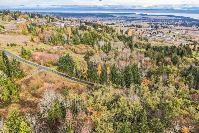 999 Elk Pass Rd Lot 1, Sequim, WA 98382
