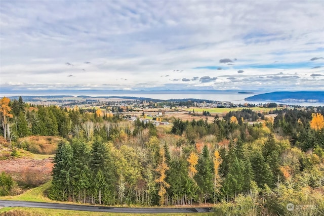 999 Elk Pass Rd Lot 1, Sequim, WA 98382