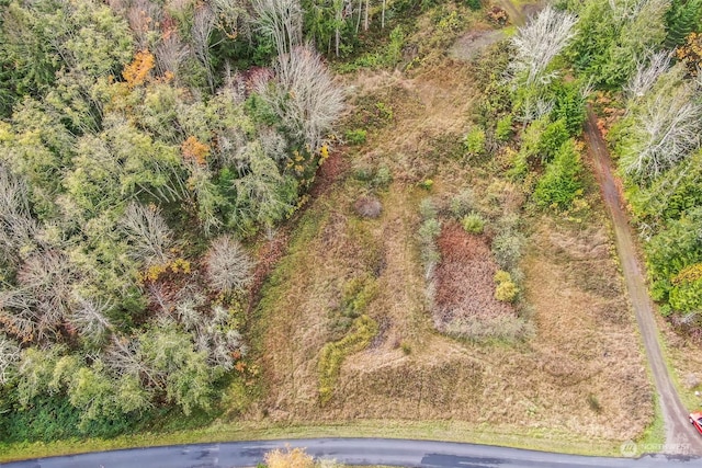 999 Elk Pass Rd Lot 1, Sequim, WA 98382