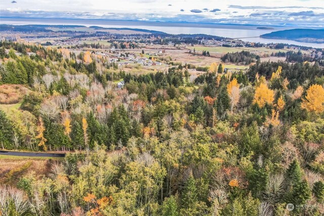 999 Elk Pass Rd Lot 1, Sequim, WA 98382