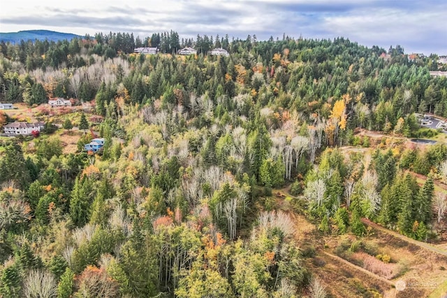 999 Elk Pass Rd Lot 1, Sequim, WA 98382