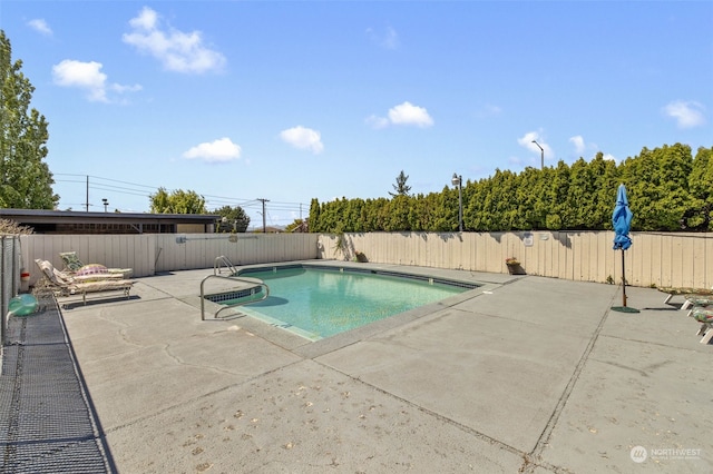 view of swimming pool featuring a patio