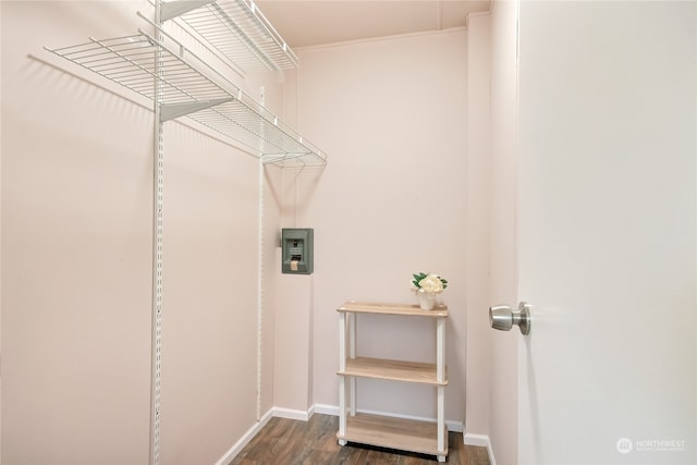 clothes washing area featuring dark wood-type flooring