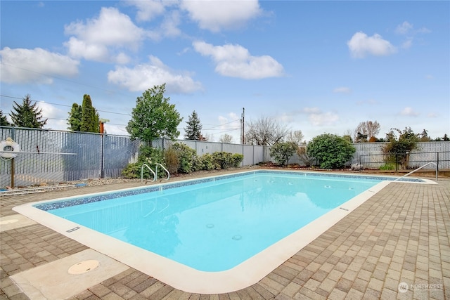 view of swimming pool with a patio