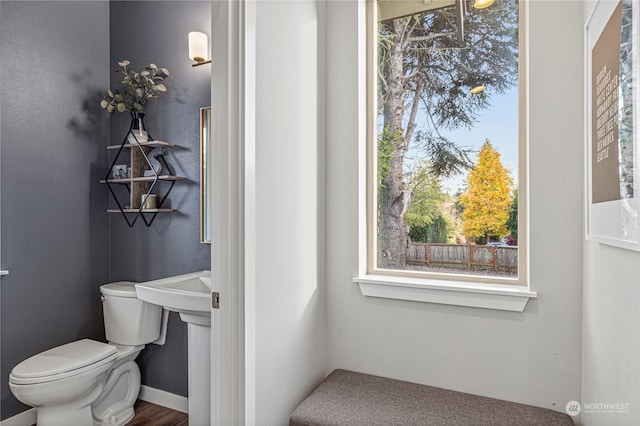 bathroom featuring wood-type flooring and toilet