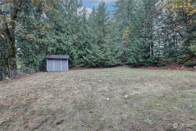 view of yard featuring a shed