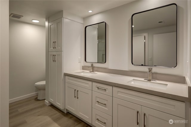 bathroom featuring toilet, vanity, and wood-type flooring