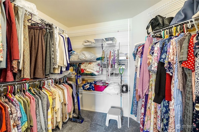 walk in closet with carpet flooring