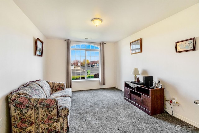 living area featuring carpet flooring