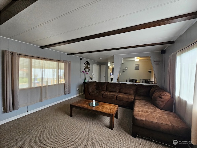 living room featuring carpet, ceiling fan, beam ceiling, and a textured ceiling