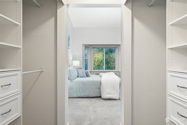 spacious closet with carpet flooring