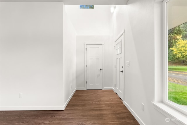 hall featuring a healthy amount of sunlight and dark hardwood / wood-style flooring