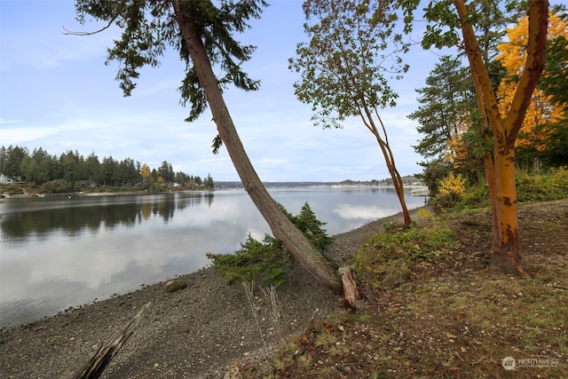 15809 Virginia Point Rd NE, Poulsbo, WA 98370 - photo 24