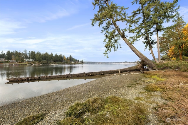 property view of water