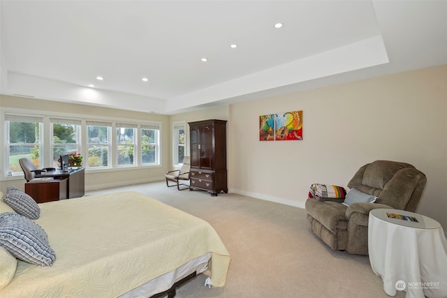 carpeted bedroom with a raised ceiling