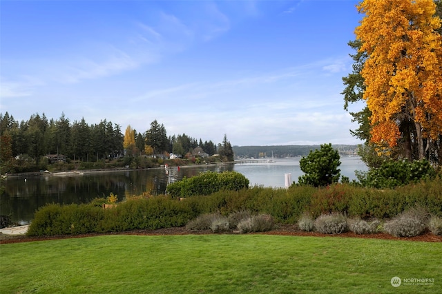 view of water feature