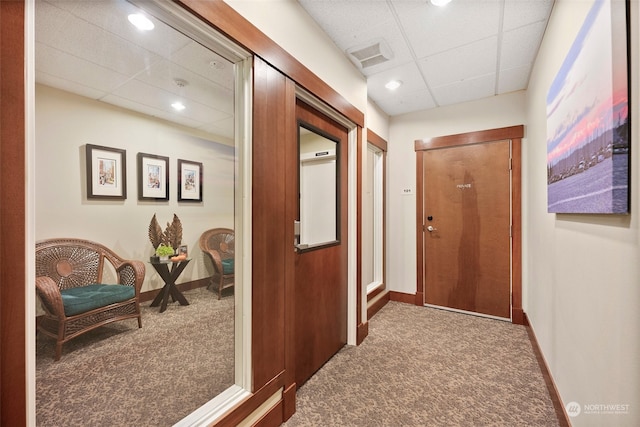 hallway with carpet and a drop ceiling