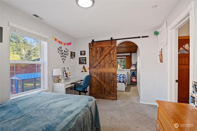 carpeted bedroom with visible vents, baseboards, and a barn door