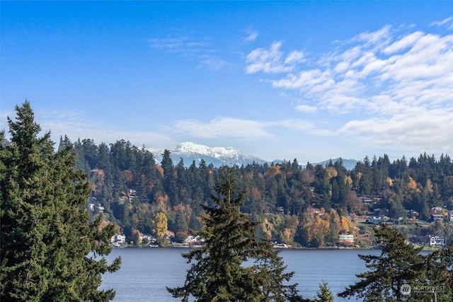 4127 48th Ave S, Seattle, WA 98118 - view of water feature