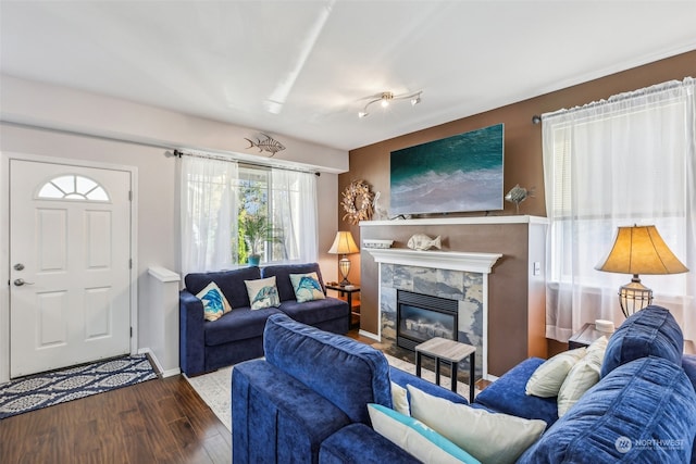 living room with wood-type flooring, a healthy amount of sunlight, and a high end fireplace