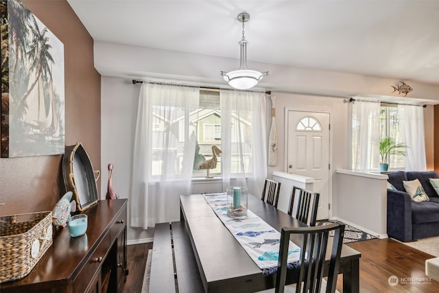 dining area with dark hardwood / wood-style floors