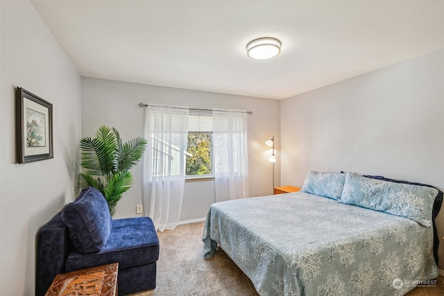 bedroom featuring light colored carpet