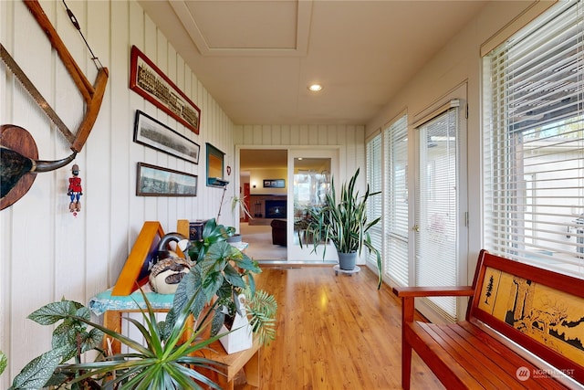 hallway featuring plenty of natural light, wooden walls, and light hardwood / wood-style flooring