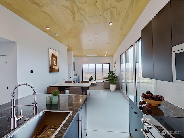 kitchen with high end stove, sink, and dark brown cabinets