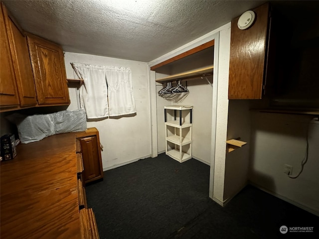 walk in closet with dark colored carpet