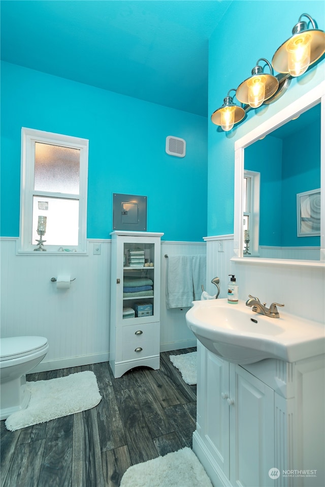 bathroom featuring toilet, vanity, and hardwood / wood-style floors