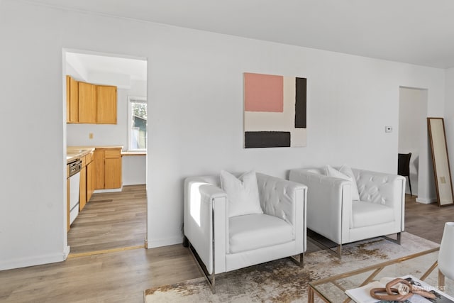 living room featuring light hardwood / wood-style floors